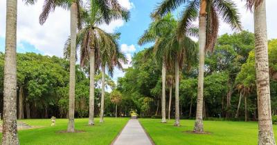 Fairchild Tropical Botanic Garden - Weg durch den Park