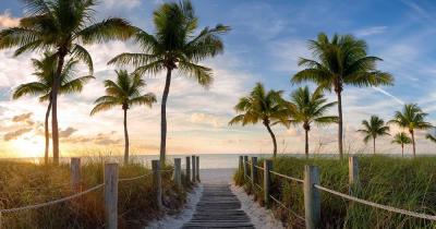 Key West - Beautiful palm tree beaches