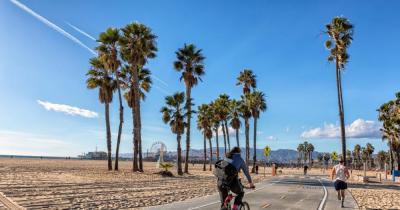 Santa Monica - Sport under a palm tree