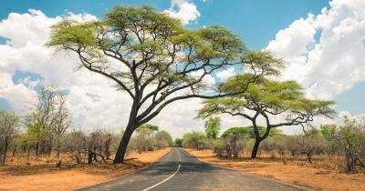 Namibia - Straße in die Savanne