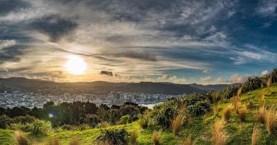 Wellington - Landschaft rund um die Stadt