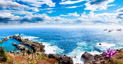 Teneriffa - Blick auf das Meer