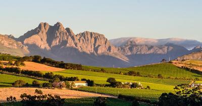 Südafrika - Winelands