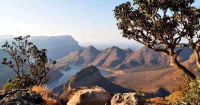Blyde River Canyon - Panorama mit Baum im Vordergrund
