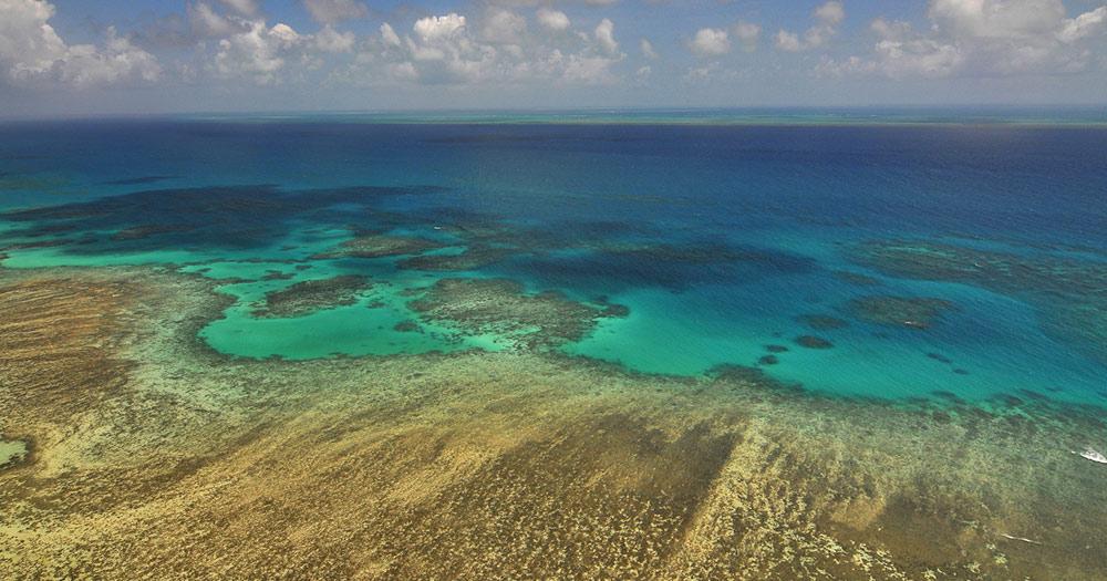Cairns - Great Barrier Reef Luftaufnahme