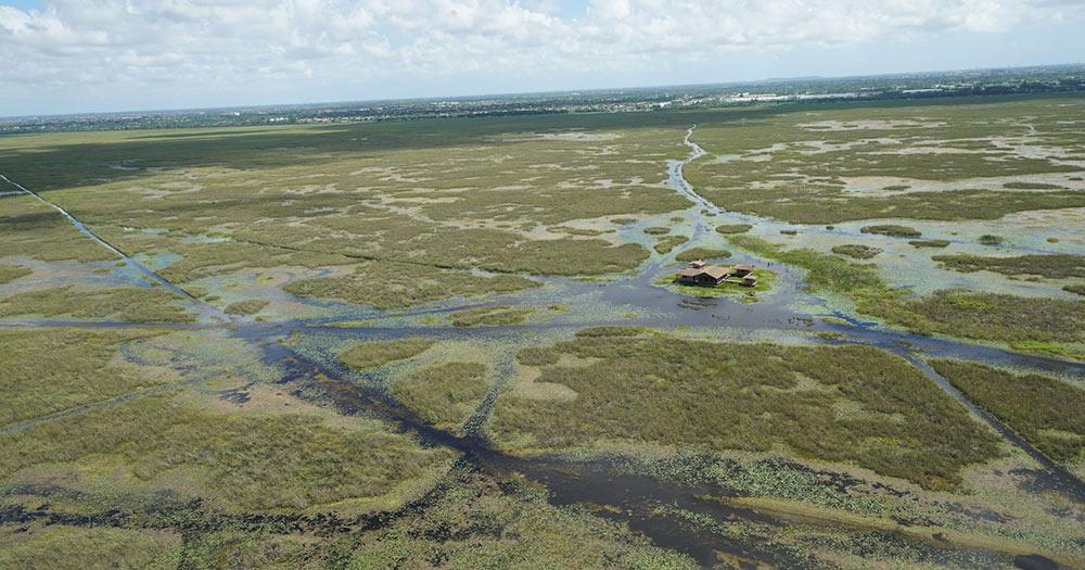 Everglades - Luftaufnahme
