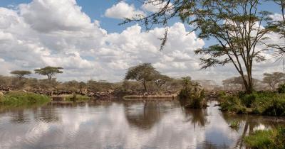 Serengeti-Nationalpark - Blick auf den See