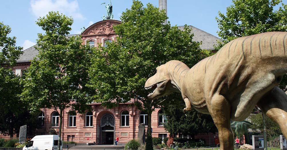 Senckenberg Museum - Aussenbereich mit Dino Statue