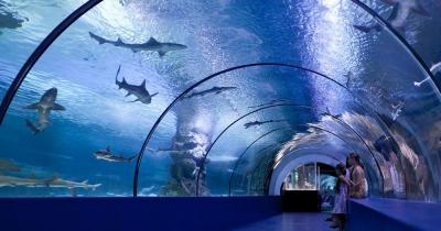 Aquarium Gijon - Kinder in einem Wassertunnel