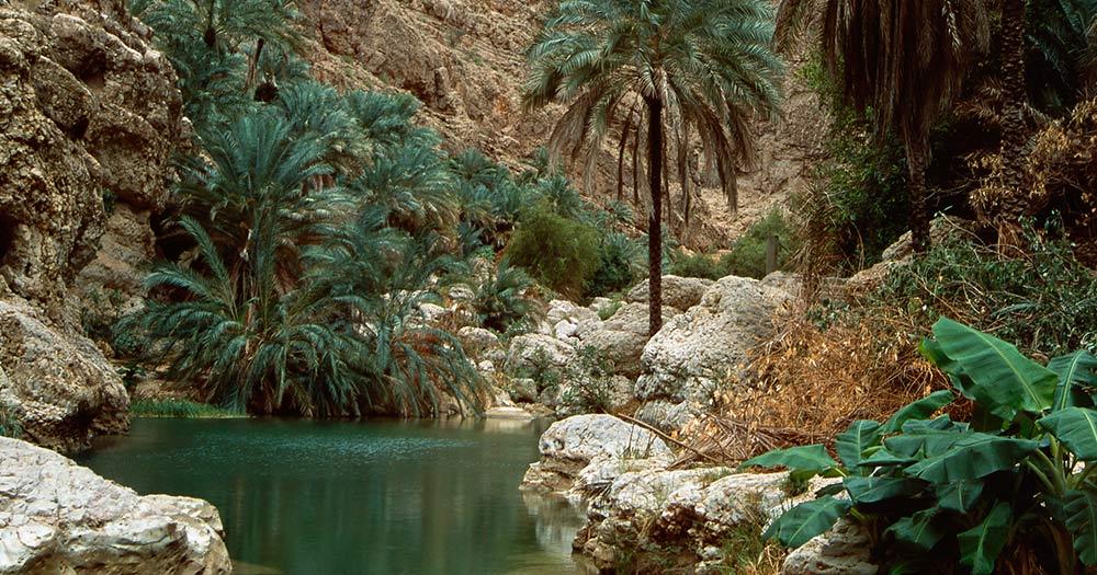Wadi Shab - Wadi Shab Oase in Oman