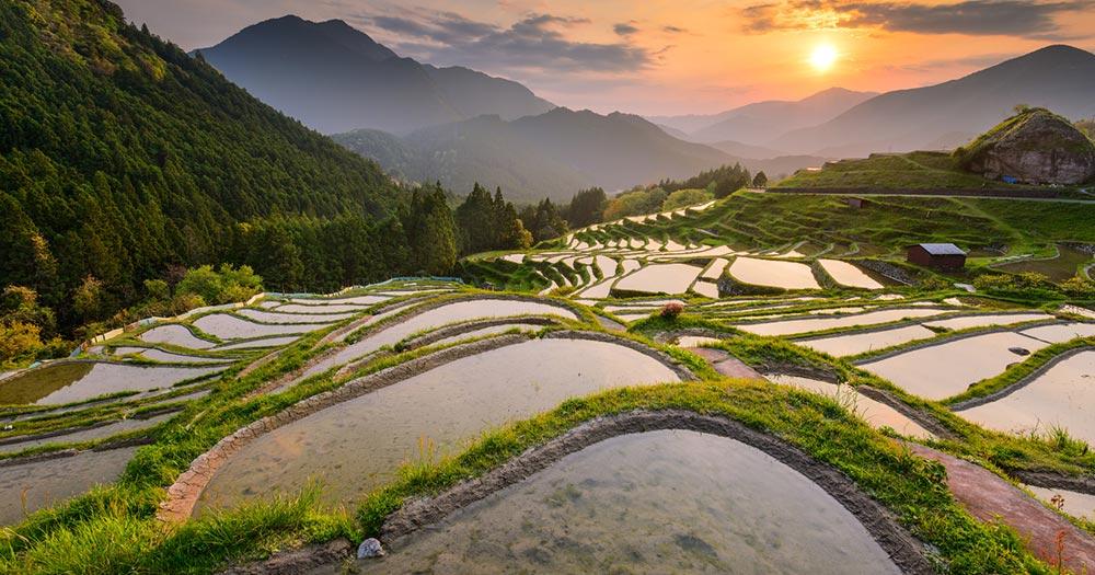 Kii-Halbinsel - Die Reisterrassen