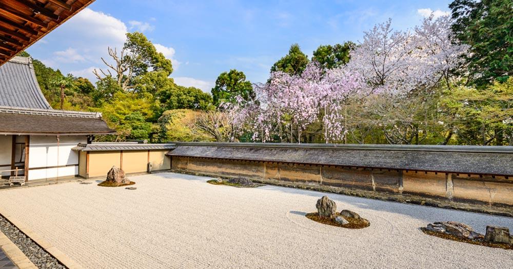 Kyoto - Zengarten mit Kirschblüten