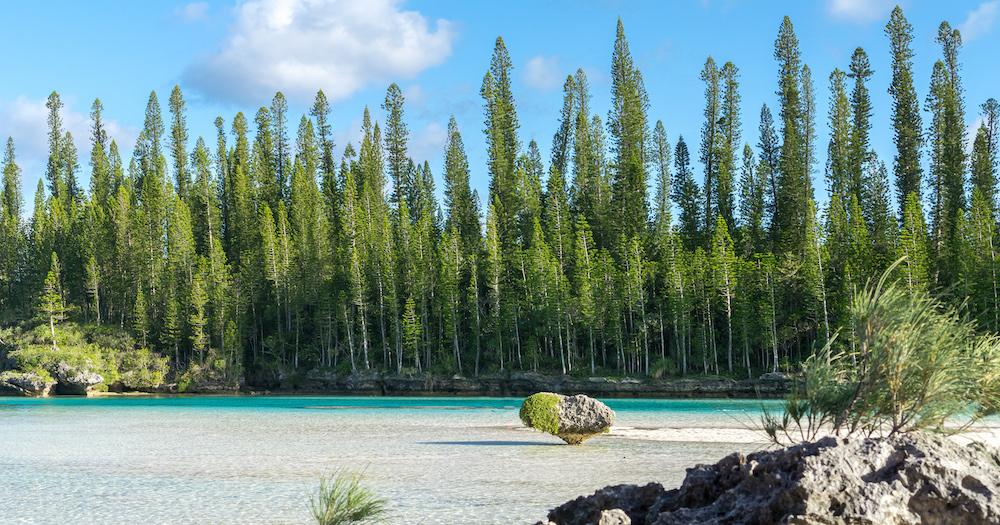 Neukaledonien - Oro Bay Ile des Pins