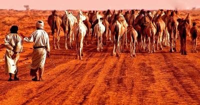 Mauretanien - eine Karawane in der Wüste