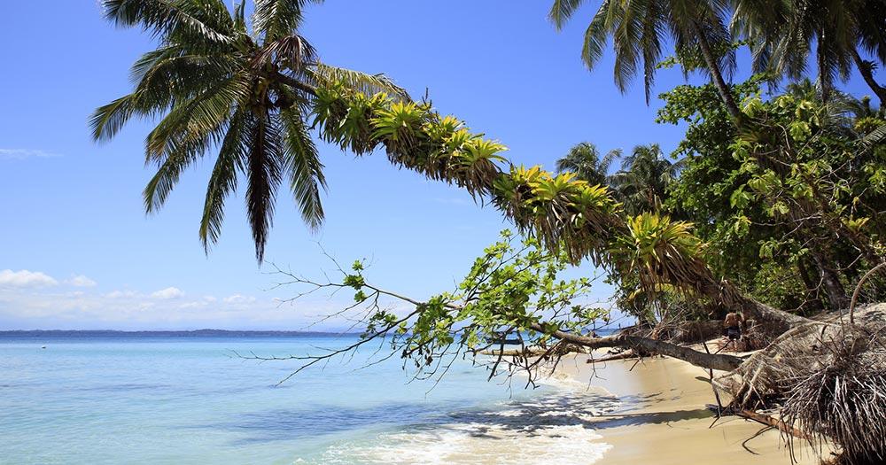 Bocas del Toro - Tropical Beach of Zapatilla