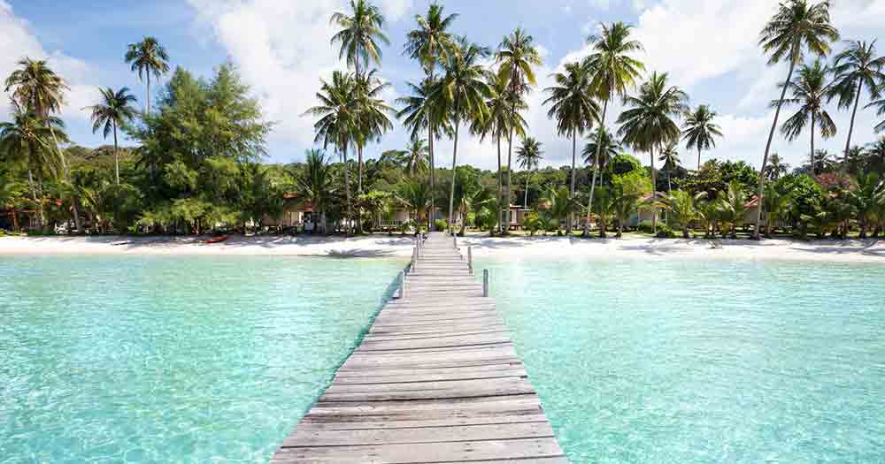 Seychellen - Ausblick auf das Meer und die Palmen