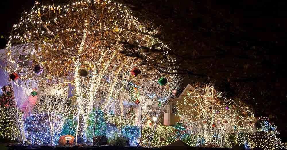 Dyker Heights - Weihnachtsbeleuchtung - beleuchtete Bäume