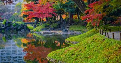 Rikugi-Park - Herbstbäume an einem See